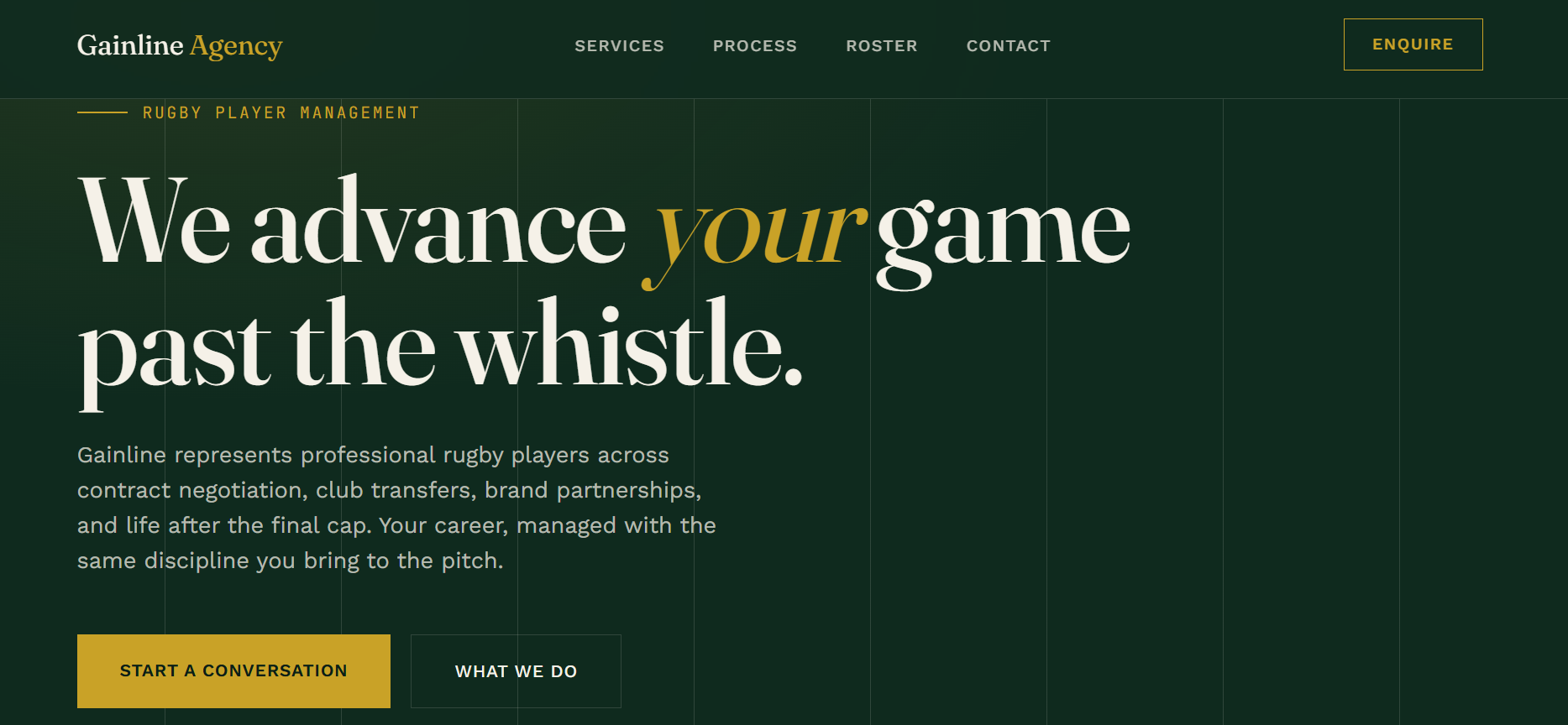 Website project preview